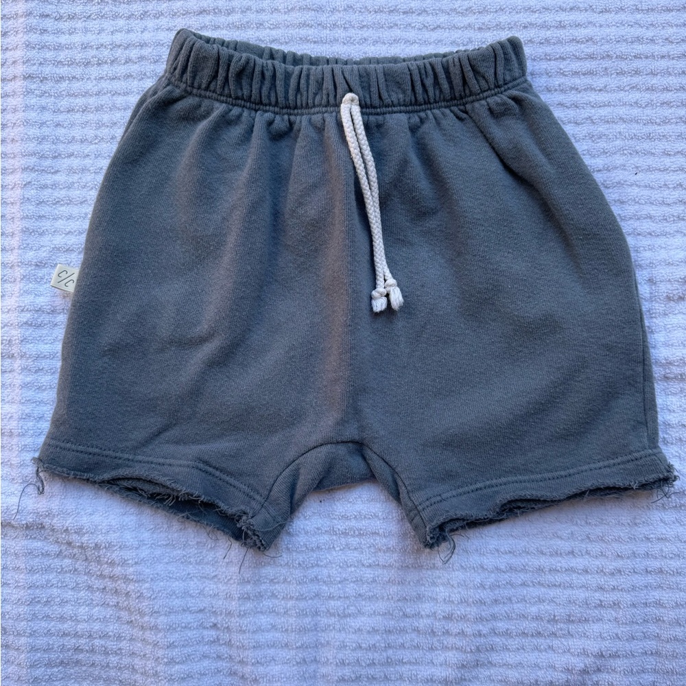 Childhoods Clothing boy shorts. Size: 4T. Color: pacific